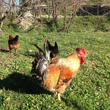 Via Col Vento 3* Chieti