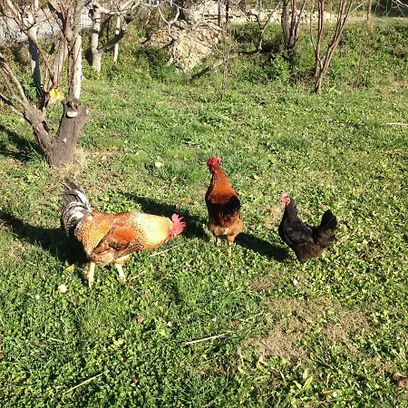 Via Col Vento 3* Chieti