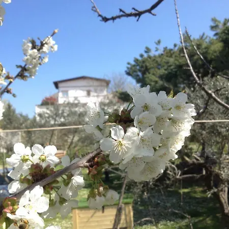 住宿加早餐酒店 维亚可文图住宿加早餐旅馆 基耶蒂