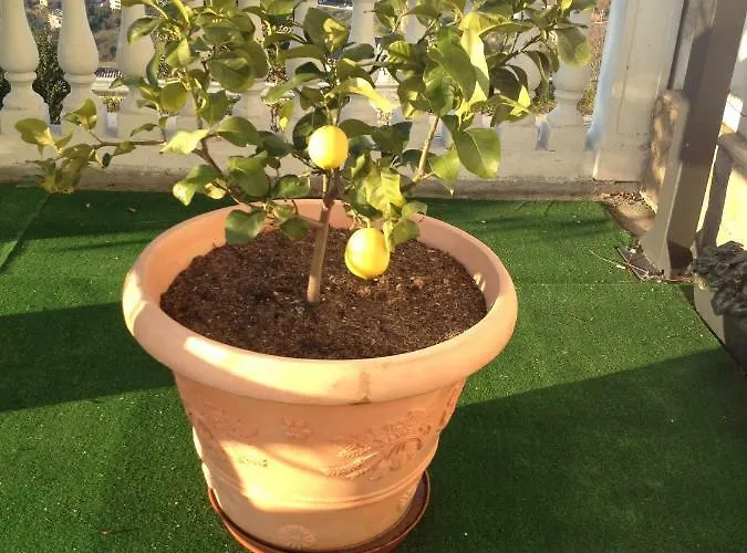 Via Col Vento 3* Chieti