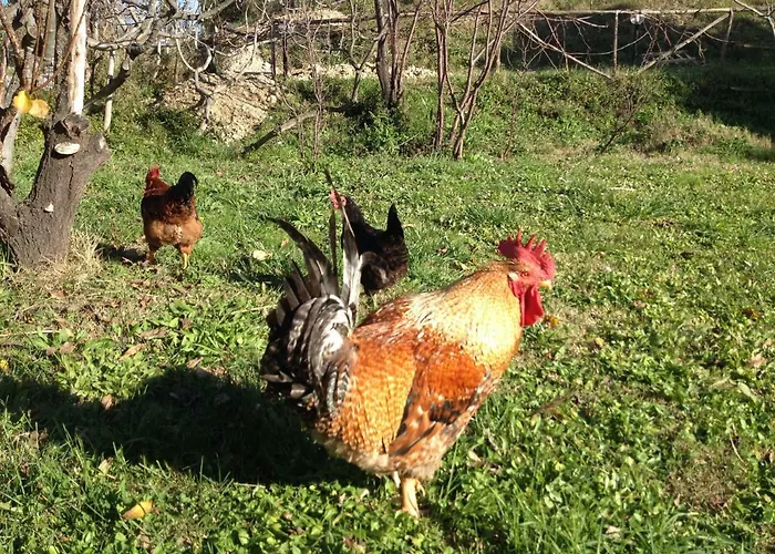 Via Col Vento 3* Chieti