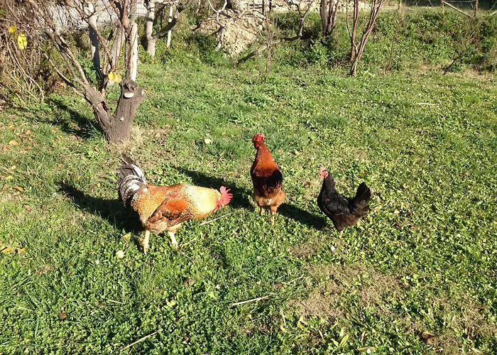 Via Col Vento 3* Chieti